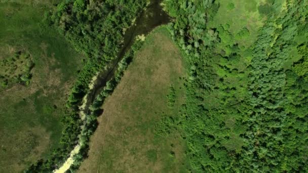 4k Αεροφωτογραφία ενός τόξου ξηρού ποταμού καλυμμένου με δέντρα ανάμεσα σε πράσινα λιβάδια — Αρχείο Βίντεο