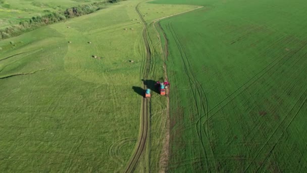 4K Flygfoto av jordbruksmaskiner som odlar fältet. En speciell maskin traktor sprutar framtida gröda från skadedjur — Stockvideo