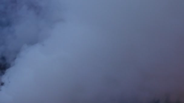 Starker Rauch durch brennendes und schwelendes trockenes Gras aus nächster Nähe — Stockvideo