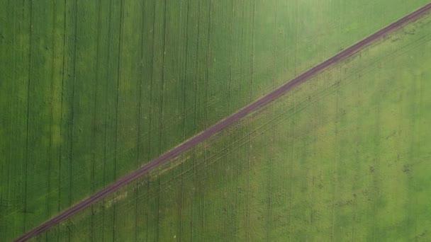 緑の農業分野を横断道路の4k空中ビュー。田舎の美しい牧草地のドローン映像。フラットフレーム上から下へ — ストック動画