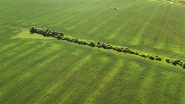 4K Flygfoto av jordbruksmaskiner som odlar fältet. En speciell maskin traktor sprutar framtida gröda från skadedjur — Stockvideo