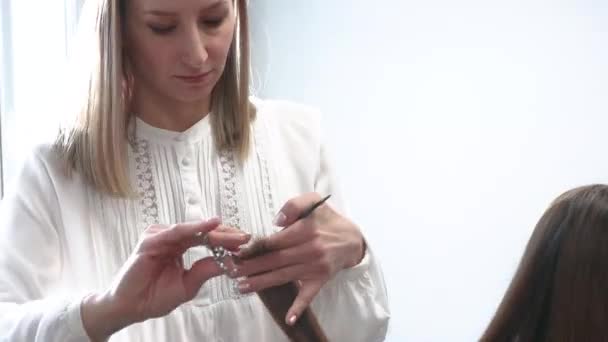 Master woman hairdresser cuts the ends of the girls hair after washing and before styling in a beauty salon. — Stock Video