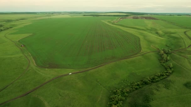 Luftaufnahme eines grünen landwirtschaftlichen Feldes. Drohne filmt schöne Wiesen im Grünen — Stockvideo