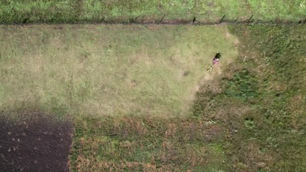 Zeitraffer-Luftaufnahmen zeigen, wie ein Bauer mit einem Benzinmäher Gras auf einem landwirtschaftlichen Grundstück mäht — Stockvideo