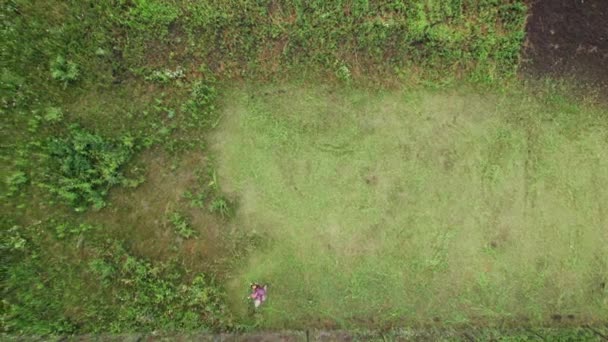 Video aéreo de un agricultor cortando hierba en tierras de cultivo con una segadora de gasolina. Vista de arriba hacia abajo — Vídeo de stock