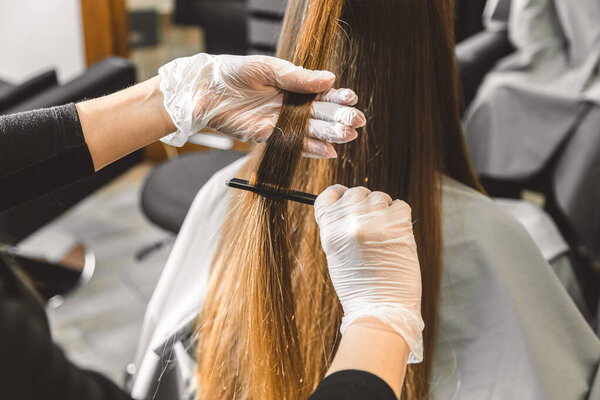 Master hairdresser combs the girls hair after washing and before styling in a beauty salon.