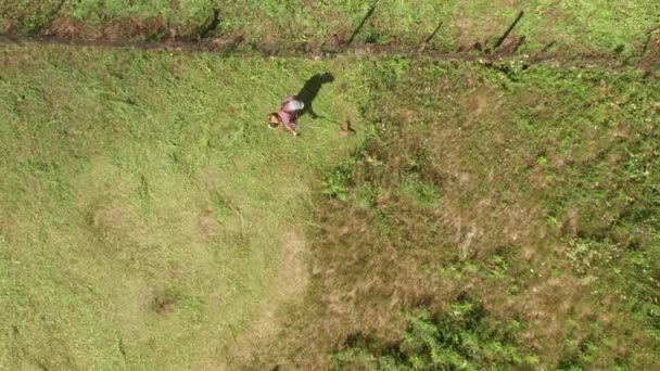 Flygfoto av en bonde som klipper gräs på jordbruksmark med en bensingräsklippare. Vy uppifrån och ned — Stockvideo