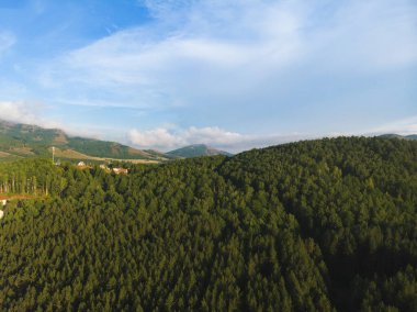 Bannoye Gölü 'ndeki Bashkortostan Cumhuriyeti Ulusal Parkı' nın dağları arasında her daim yeşil köknar ormanı.