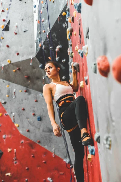 Deportiva escaladora ascendiendo sobre roca escarpada, escalando en pared artificial en interiores. Concepto de deportes extremos y bouldering — Foto de Stock