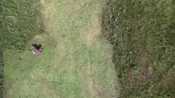 タイムラプスの空撮ビデオ農民はガソリンの粉で農地に草を刈る — ストック動画