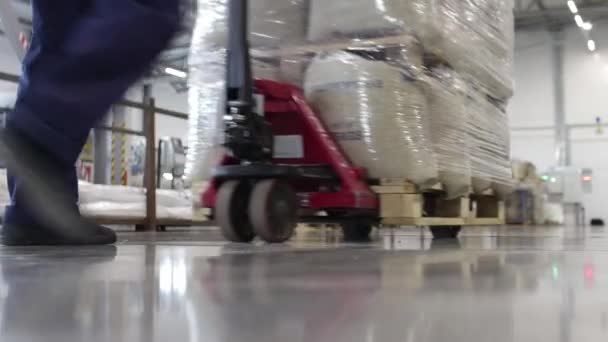 Oufa, Russie, 30 juin 2020. Un travailleur pousse un transpalette avec des sacs de produits dans une usine — Video