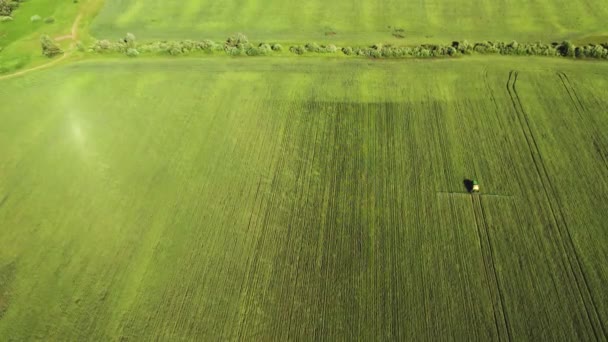4K Luchtfoto van landbouwmachines die het veld bewerken. Een speciale machine trekker spuit het toekomstige gewas van ongedierte — Stockvideo
