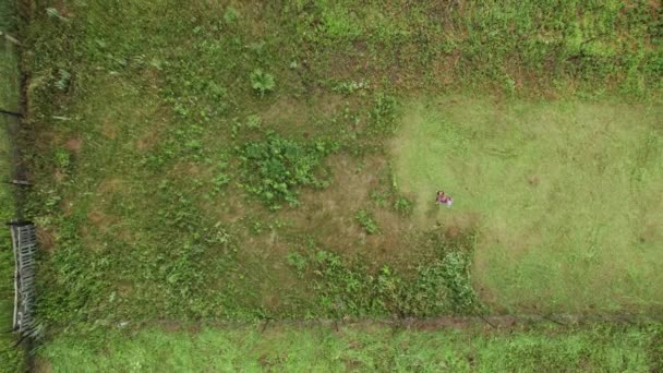 Воздушное видео с фермером, косящим траву на сельскохозяйственных угодьях с газонокосилкой. Вид сверху вниз — стоковое видео