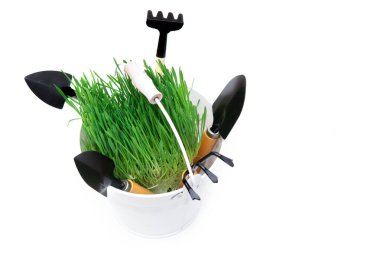 Beyaz bir kovanın üst görüntüsü. Bir sürü taze yeşil çimen ve beyaz arka planda izole edilmiş bahçe aletleri..