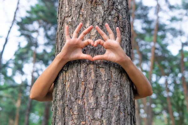 Female hugging a tree and showing a heart symbol with hands. Nature love concept.