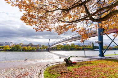 Frankfurt, Almanya - 21 Ekim 2025: Nehir üzerinde bir köprü, sonbahar ağaçları ve nehir kıyısındaki bir inşaat makinesiyle Frankfurt gökyüzünün manzarası.