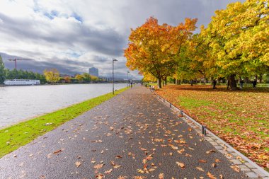 Frankfurt, Almanya - 21 Ekim 2025: Canlı sonbahar yaprakları Frankfurt, Almanya 'da nehir kenarındaki yolu kaplıyor, sıcak renklerde ağaçlar ve yukarıda bulutlu bir gökyüzü var..
