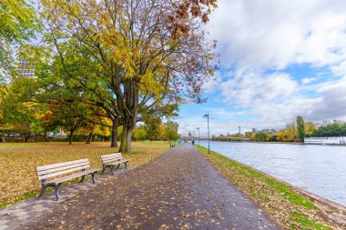 Frankfurt, Almanya - 21 Ekim 2025: Frankfurt 'un Almanya' daki ana nehri boyunca uzanan sonbahar sahnesi, renkli ağaçlar, yapraklarla kaplı bir patika ve bulutlu, parlak bir gökyüzü altında boş banklar.