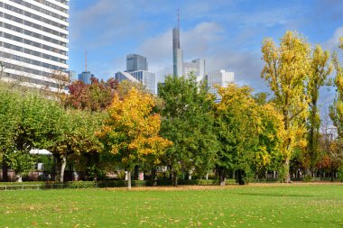 Frankfurt, Almanya - 21 Ekim 2025: Sakin bir parkın ön planında renkli sonbahar ağaçları, Frankfurt, Almanya 'nın çağdaş ufuk çizgisi parlak mavi bir gökyüzü altında görkemli bir şekilde yükseliyor.