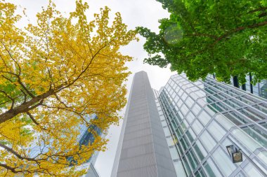 Yüksek binaların açısal cam cepheleri, Almanya 'nın Frankfurt kentindeki kentsel gelişimi ve doğayı gösteren canlı sarı ve yeşil yapraklarla çelişiyordu..
