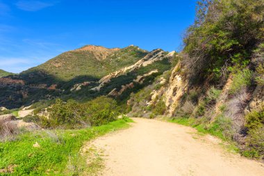 Kırmızı Kaya Kanyon Parkı 'nın güneşli tepelerinde yükselen sarmal toprak yol parlak mavi gökyüzü altında canlı yeşil şapel ve eşsiz kaya oluşumları sergiliyor..