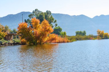 Turuncu ve sarı yapraklı canlı sonbahar ağaçları Perris Gölü 'nün yansıtıcı suları uzak, puslu dağların zeminine kurulmuş..