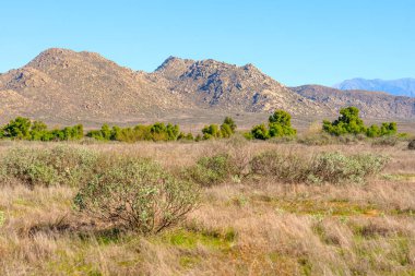 Engin kurak arazide altın otlar, dağınık yeşil çöl çalıları ve el değmemiş mavi gökyüzünün altında granit dağlar var..