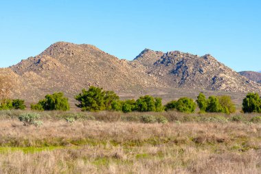 Kayalık dağlar açık mavi bir gökyüzünün altında görünür, kuru altın çimenlerin önplanıyla ve canlı yeşil ağaçlardan oluşan çizgilerle çelişir..