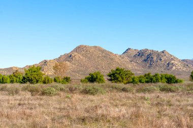 Perris Eyaleti dinlenme alanındaki güneşli manzara muazzam kuru otları, dağınık yeşil çalıları ve parlak, berrak gökyüzünün altındaki kayalık dağları gözler önüne seriyor..