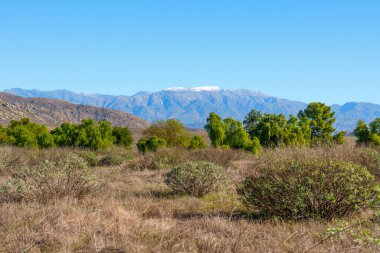 Doğal tabiatta kuru çalılar ve açık mavi gökyüzünün altında yeşil çalılıklar, karla kaplı dağlar uzak Perris Gölü ufkunu süslüyor..
