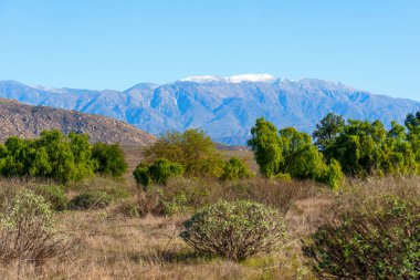 Geniş doğal manzara; kar tozlu dağ tepeleri, kuru çalılar ve açık, parlak mavi bir gökyüzünün altında yeşil ağaçlar içerir..