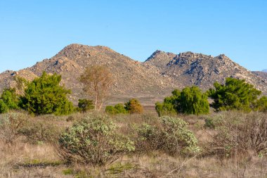 Engebeli dağlar geniş, kurak bir araziye hükmediyor. Geniş, açık mavi gökyüzünün altında esnek yeşil bitki örtüsü ve kuru otlar bulunuyor..
