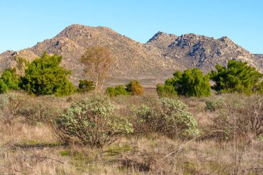 Engebeli dağların üzerindeki açık mavi gökyüzü, kuru otlara, yeşil ağaçlara ve Perris Gölü 'ndeki çöl çalılarına tepeden bakan.