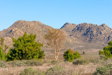 Görkemli kayalık dağlar kurak bir araziye hükmediyor, açık mavi gökyüzünün altında seyrek yerli ağaçlar ve dirençli bitki örtüsü sergiliyor..