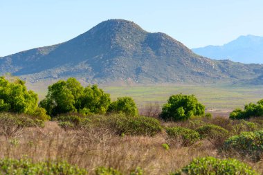 Canlı yeşil ağaçlar ve kuru çalılıklar. Geniş ovalar, berrak mavi gökyüzünün altındaki engebeli, kayalık bir dağa çıkıyor..