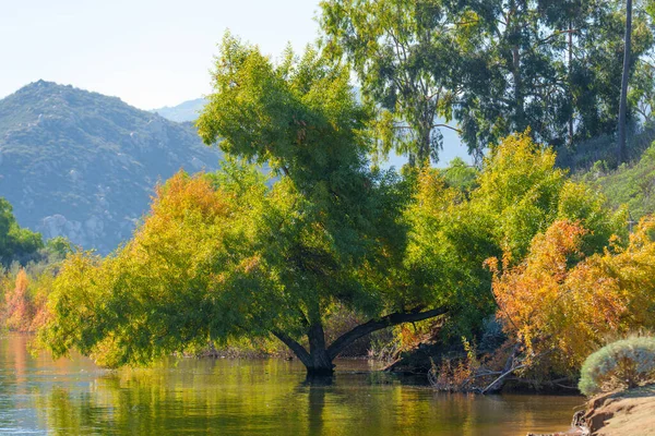 Renkli ağaçlar, Perris Gölü 'nün sakin, güneşli sularına güzel bir şekilde yansıyor. Puslu dağlar, huzurlu ve doğal bir ortam sağlıyor..