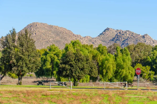 Rocky dağları canlı yeşil bir parkın üzerinde, çeşitli ağaçlar, piknik masaları, bir güvenlik kapısı ve açık mavi gökyüzünün altında kırmızı bir dur işareti sergiliyor..
