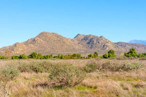 Engebeli kayalık dağlar Kaliforniya 'da açık mavi bir gökyüzünün altında kurak, altın çimenler ve yeşil çalılardan oluşan bir manzara oluşturuyor..