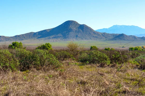 Kuru ön planda bitki örtüsü ve yeşil çalılıklar, açık mavi gökyüzü altında uzak kayalık dağlarla yeşil bir ovaya götürür, Perris Gölü dinlenme alanını betimler..