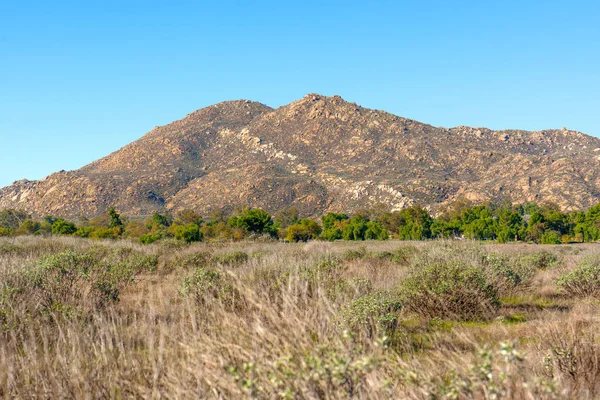 Engebeli, güneşten sırılsıklam olmuş dağlar görkemli bir şekilde yemyeşil bir ağaç hattı ve parlak gökyüzünün altındaki uçsuz bucaksız altın çayırlar üzerinde yükselir..
