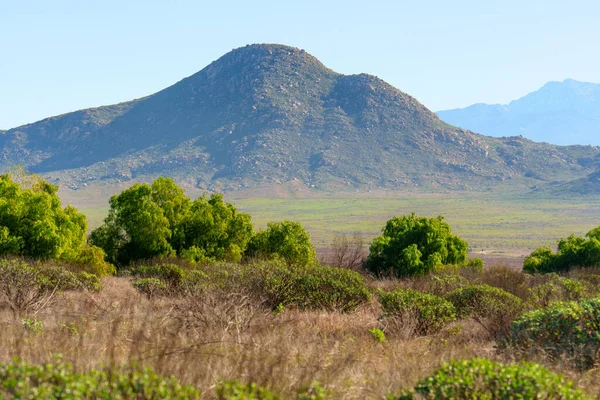 Canlı yeşil ağaçlar ve kuru çalılıklar. Geniş ovalar, berrak mavi gökyüzünün altındaki engebeli, kayalık bir dağa çıkıyor..