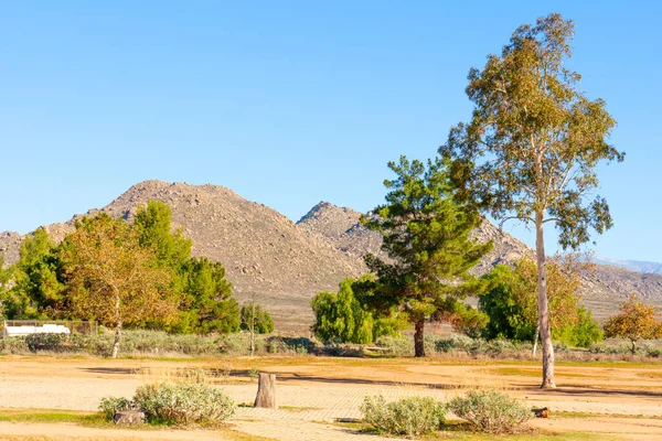 Kayalık dağlar ve çeşitli ağaçlar açık mavi bir gökyüzüne karşı dururlar, Perris Gölü 'nün güneşli bir gününde çalılarla kuru bir çalı çerçevesi oluştururlar..