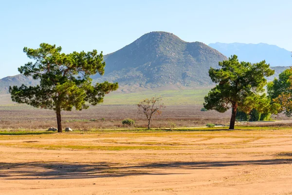 İki canlı yeşil ağaç, güneşli bir günde Perris Eyaleti dinlenme bölgesinde açık mavi bir gökyüzüne karşı küçük çıplak bir ağaç ve engebeli bir dağ oluşturur..