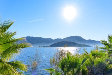 Perris Gölü 'nün mavi sularında, yeşil palmiye yaprakları ve Perris Eyaleti Dinlenme Bölgesi' nde berrak bir gökyüzünün altında uzak dağlarla çevrelenmiş parlak güneş parıldıyor..