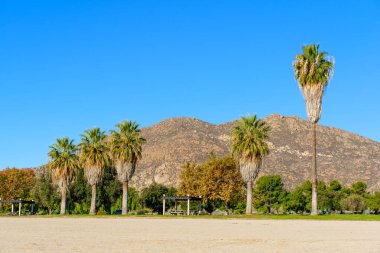Palmiye ağaçları, açık bir günde, Perris Gölü 'nün arka planında kayalık dağlar ve parlak mavi bir gökyüzü olan kumlu bir tarlaya dizilir..