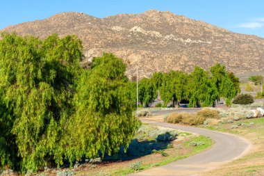 Perris Eyaleti dinlenme bölgesinde berrak bir gökyüzü altında engebeli kurak dağlar tarafından çerçevelenmiş olgun yeşil ağaçlardan oluşan bir arazide serpentine asfaltlı yol..