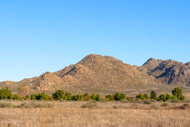 Engebeli, güneşte kavrulmuş dağlar, açık mavi gökyüzünün altında yeşil ağaçların ve engin altın çayırların üzerinde yükseliyor..
