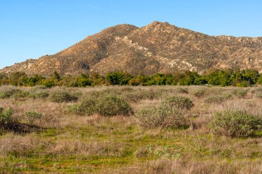 Dayanıklı, kayalık dağ, esnek yeşil çalılar ve kuru otlarla kaplı uçsuz bucaksız bir tarlanın arkasında belirgin bir şekilde yükselir..