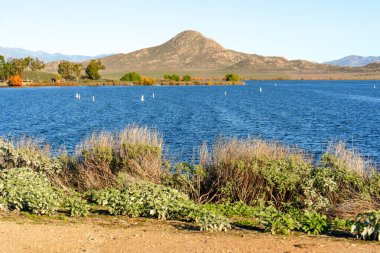 Perris Gölü 'nün sakin engin suları, açık mavi gökyüzünün altında engebeli kurak tepelere doğru uzanır. Önplanda bitki örtüsü ve uzak dağlar bulunur..