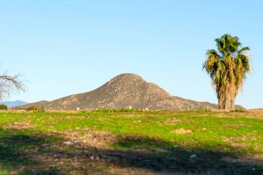 Kayalık dağ, açık mavi gökyüzünün altındaki geniş kurak araziye hükmediyor, canlı yeşil bir tarla ve yapayalnız bir palmiye ağacı tarafından çevreleniyor..